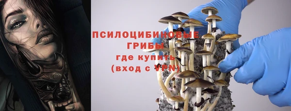 mix Снежинск