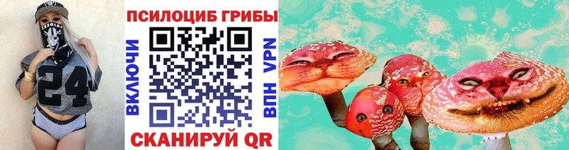 Купить где  Певек  Галлюциногенные грибы Cubensis 