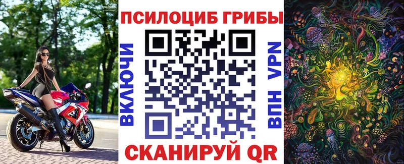 Псилоцибиновые грибы прущие грибы Певек