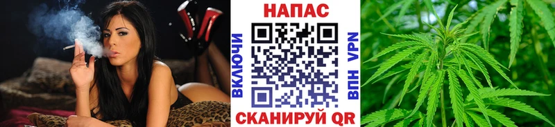 Конопля MAZAR  Купить закладки  Певек 